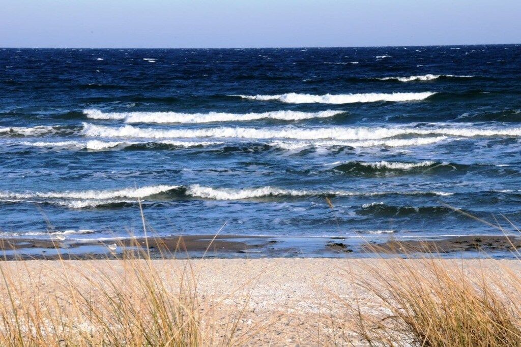 A beach with waves and dry grass in the foreground.
