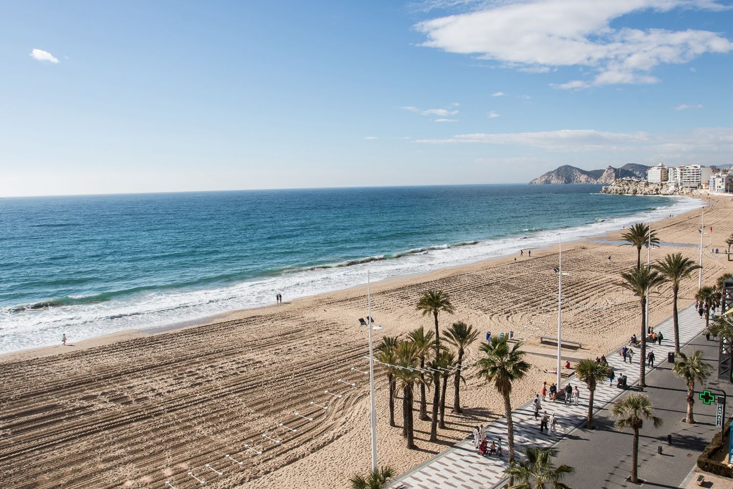 A beach with a promenade, palm trees, and a clear view of the ocean.