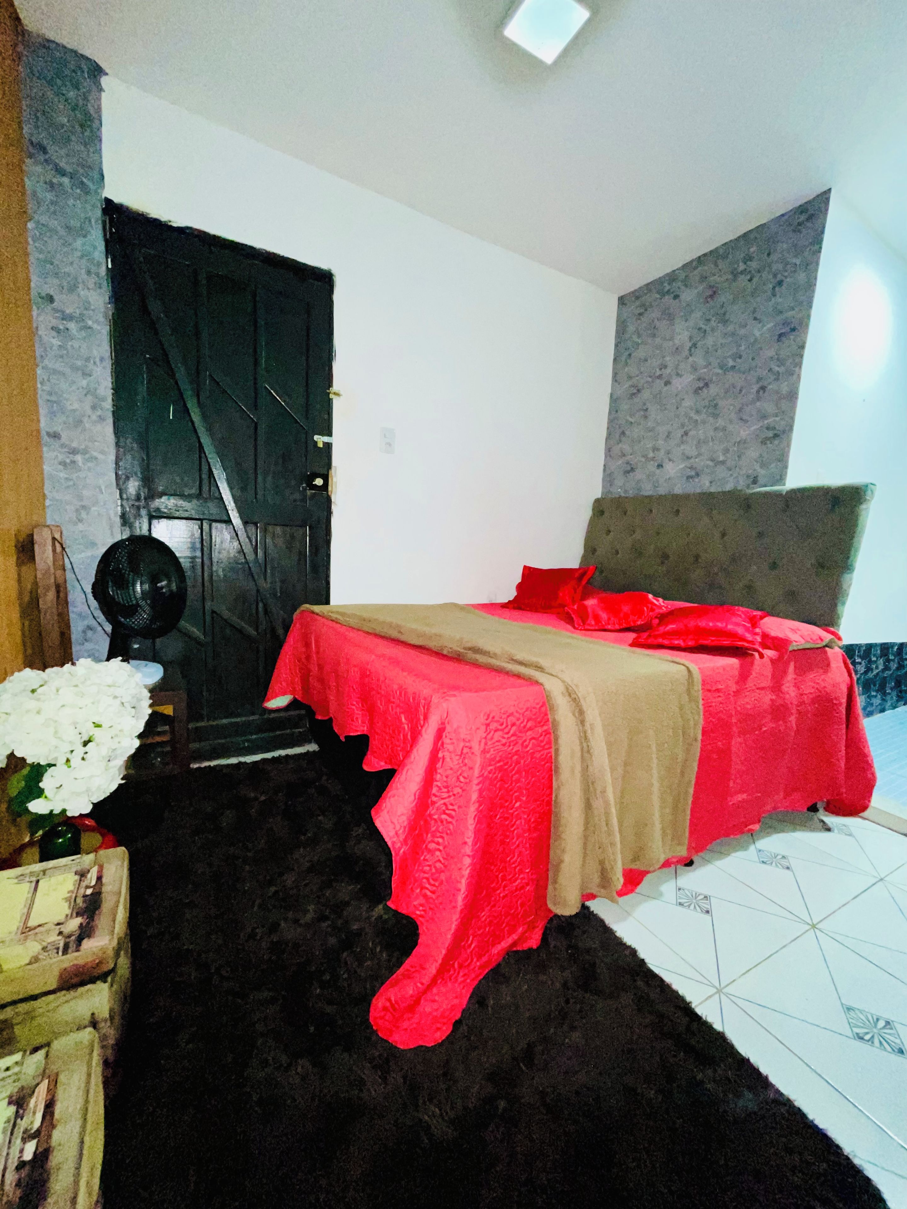 A bedroom with a bed, a door, a fan, and a rug.