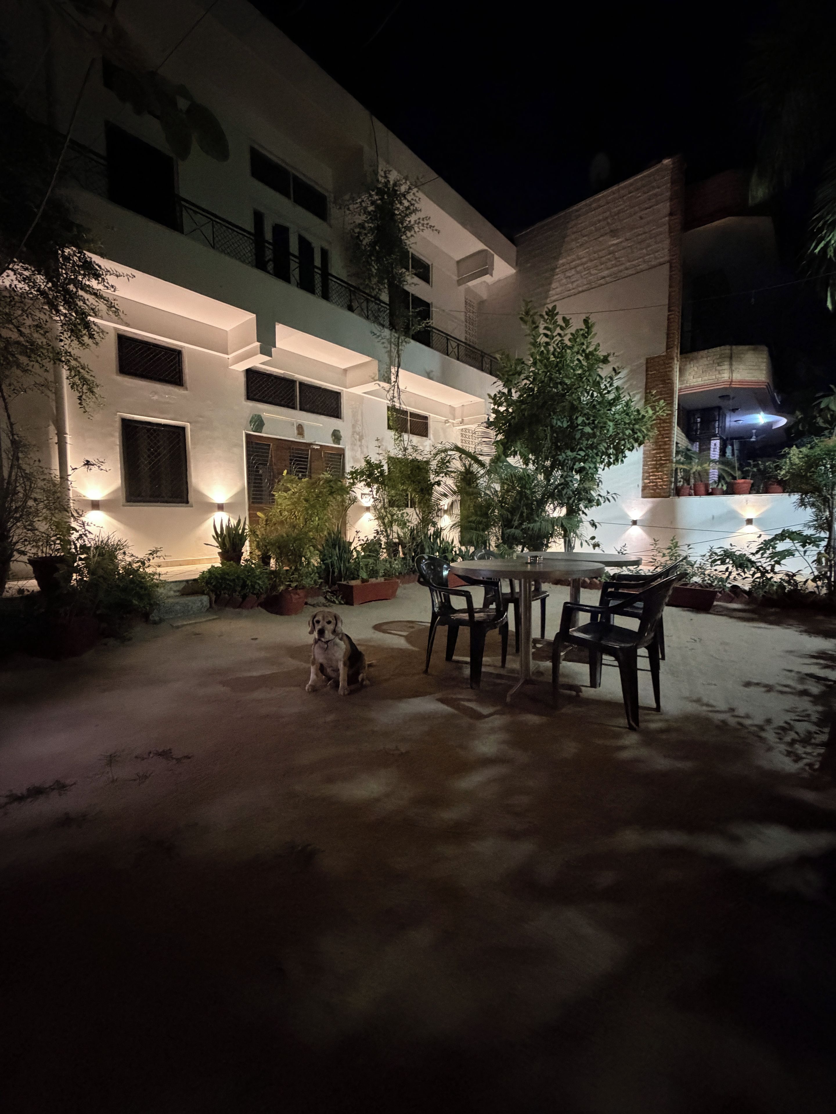 Un patio con un perro, mesas al aire libre y un edificio de varios pisos con balcones.