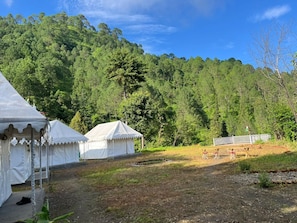A campsite with tents and picnic tables in a forested area. - Yasnaya camps (Farsoli)