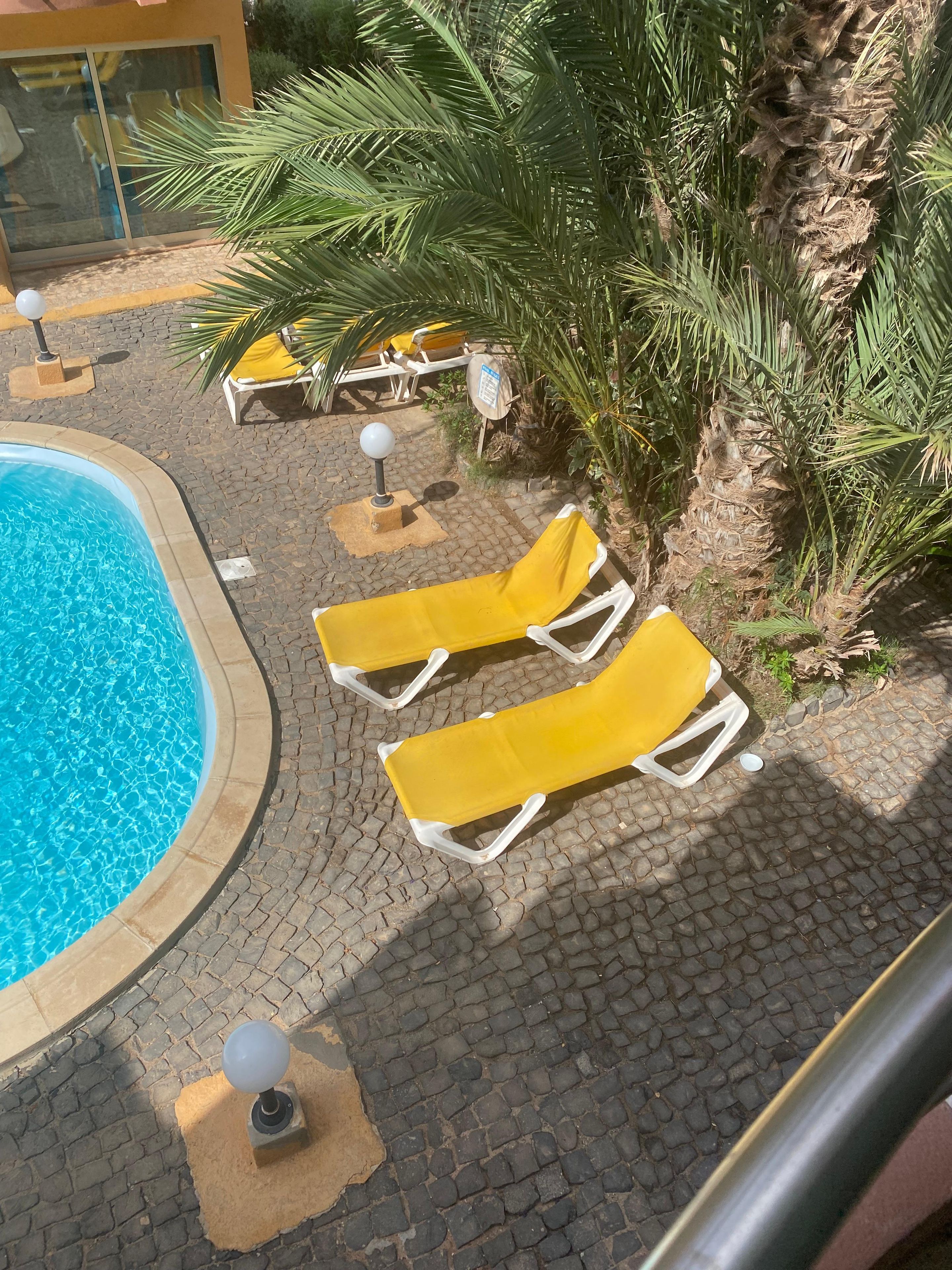 A pool area with lounge chairs and palm trees.