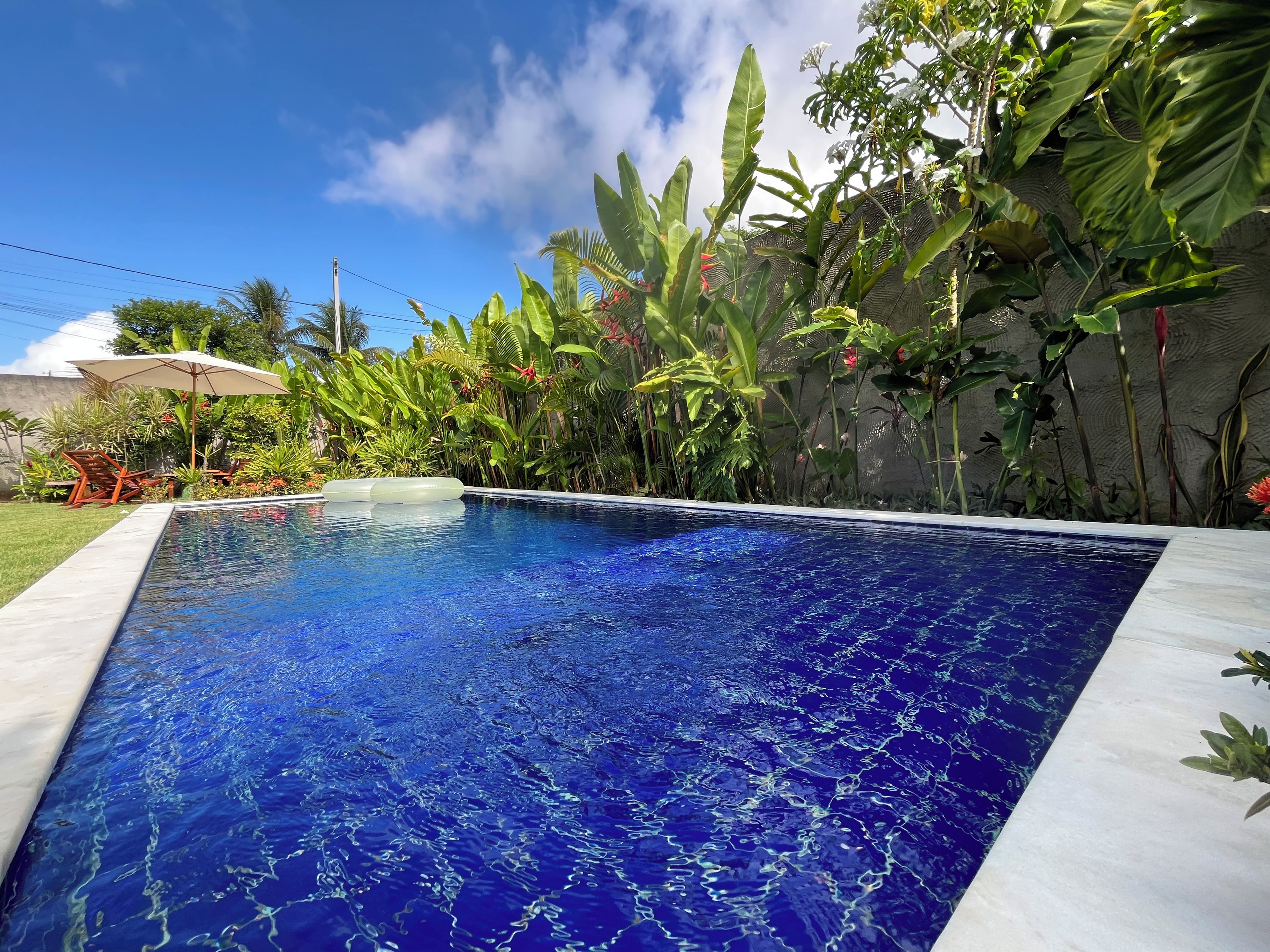 A rectangular swimming pool with clear blue water, surrounded by lush tropical plants and a white fence.