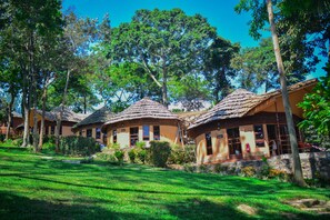 A row of bungalow-style buildings with tiled roofs, surrounded by lush greenery and trees. - Lakeside Escape Resort (Mukono)