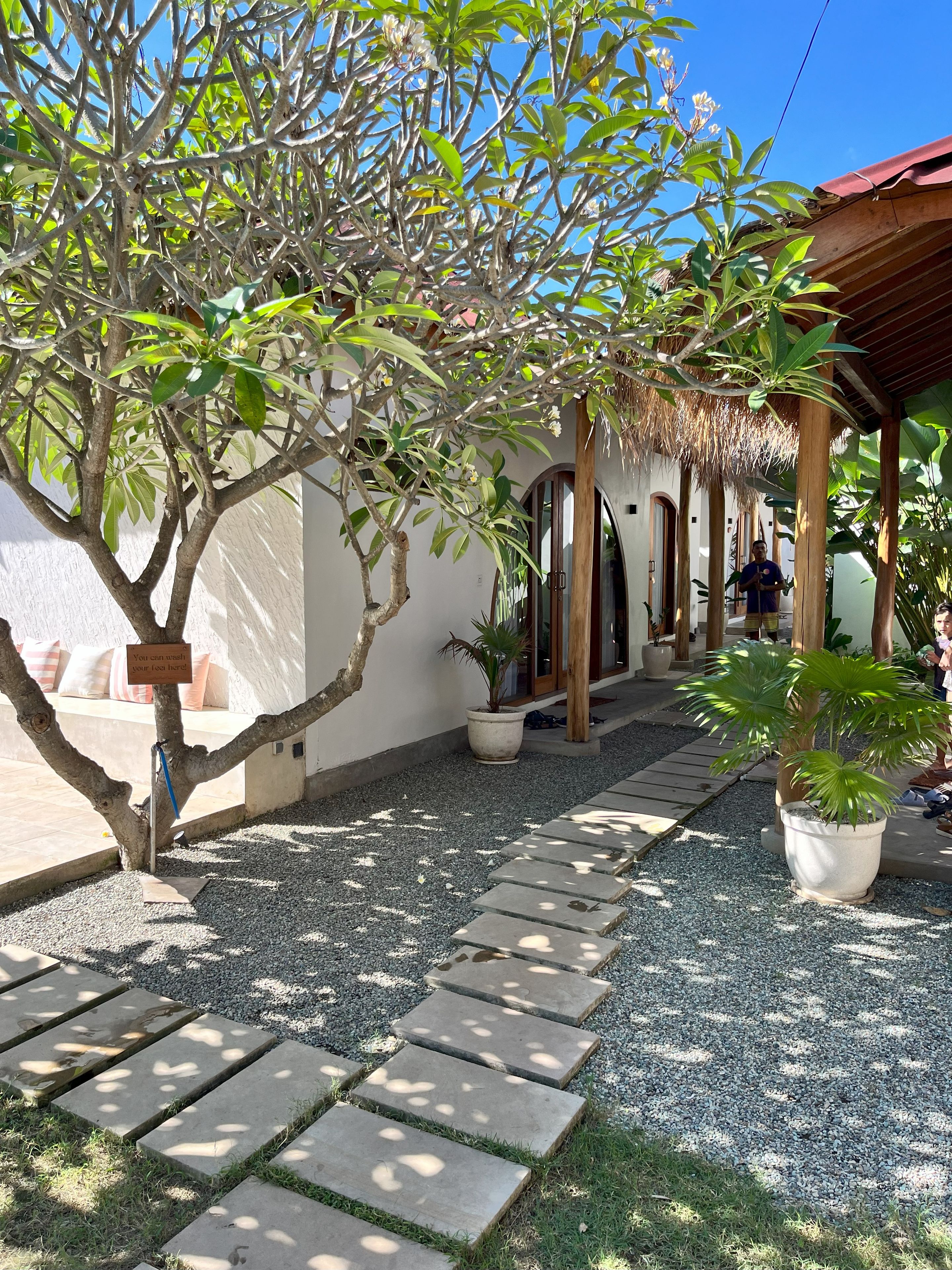 A pathway leading to a building with a covered entrance, surrounded by potted plants and a tree with white flowers.