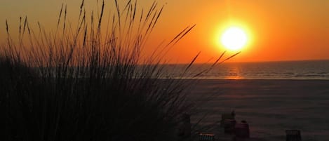 A sunset over a beach with tall grasses in the foreground and a clear sky.