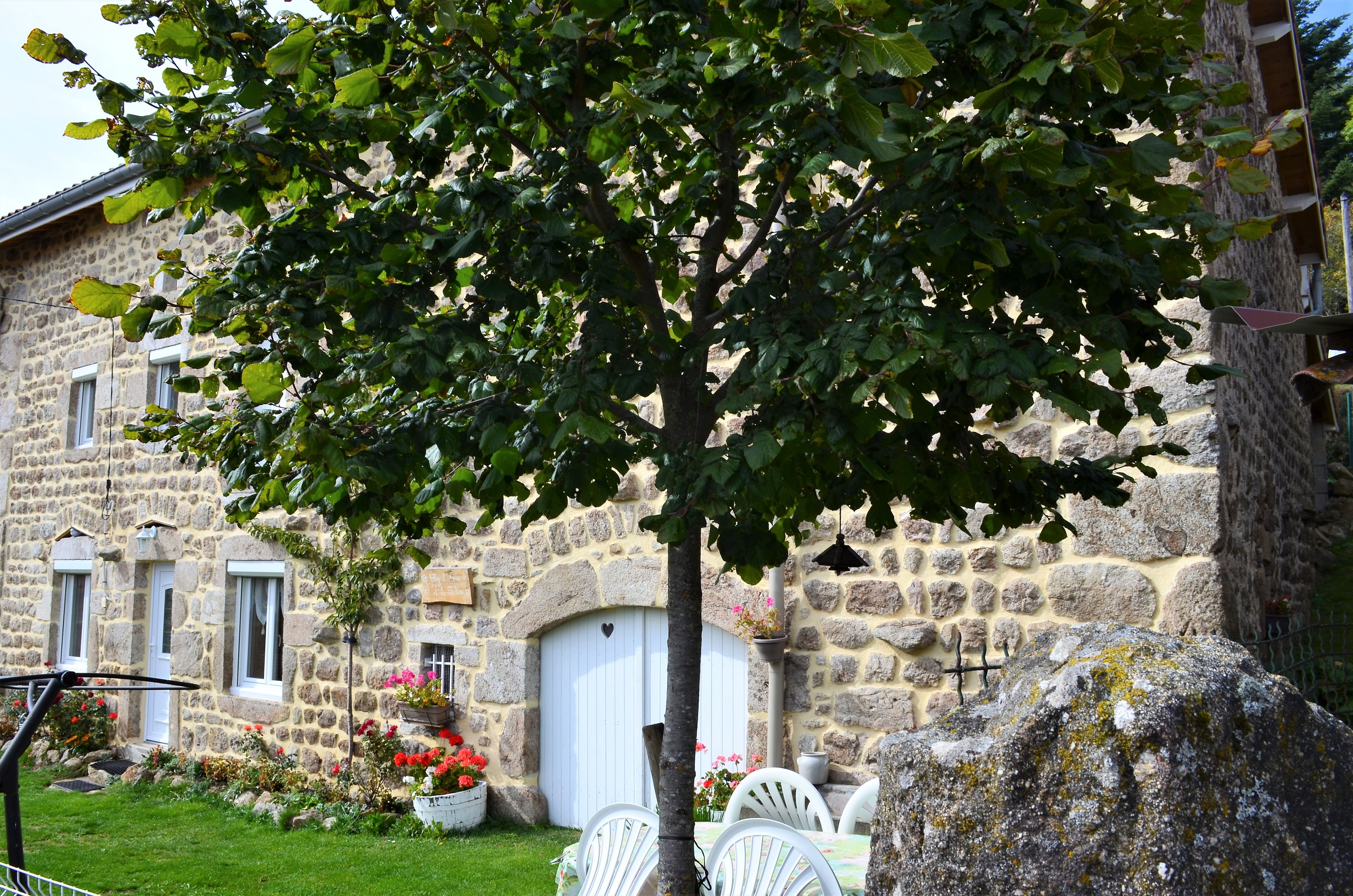 A stone building with a large tree in front, a white door, and a garden with flowers.