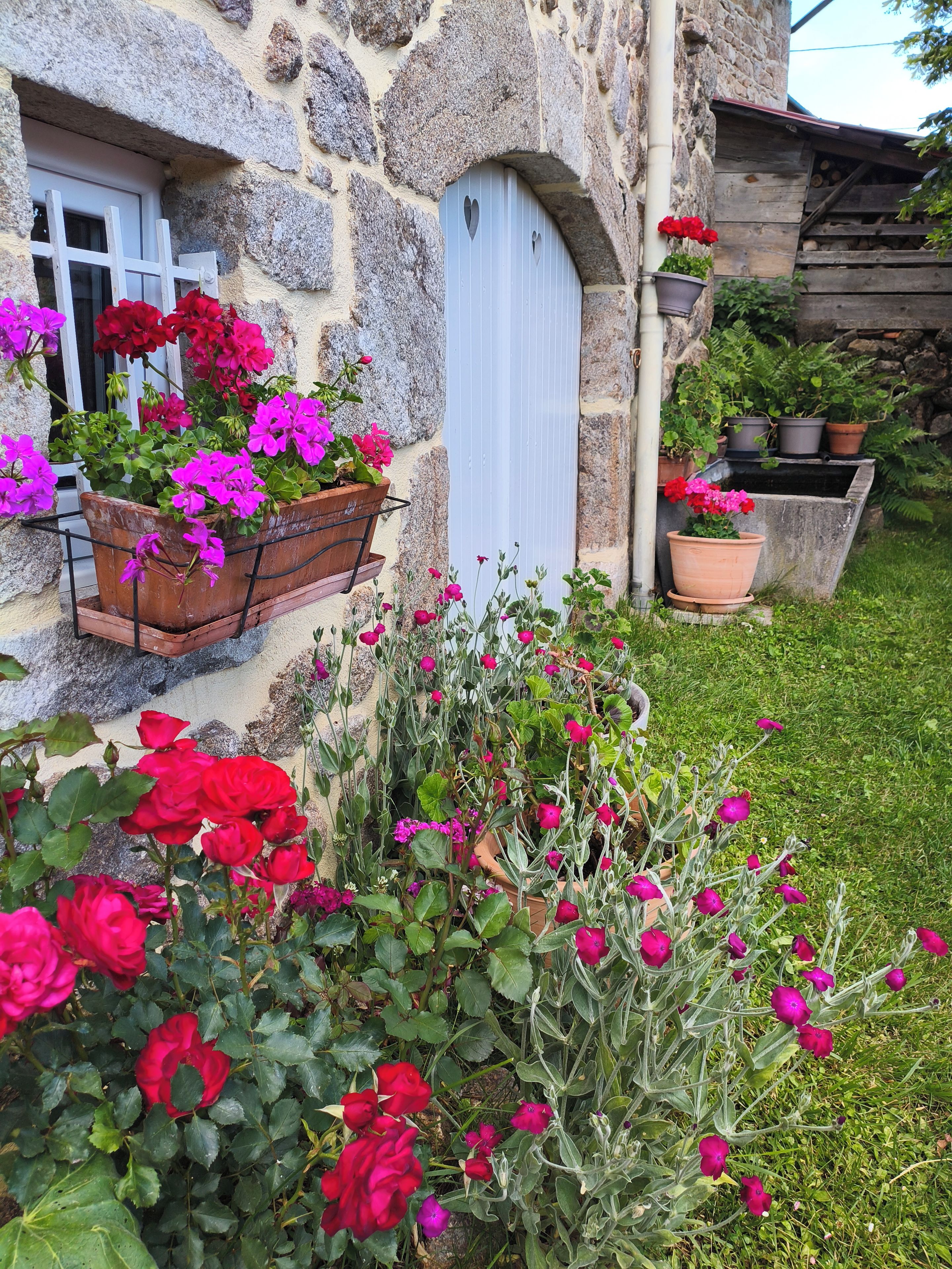 Un bâtiment en pierre avec une porte blanche, des plantes en pot ornées de fleurs rouges et roses, et une zone herbeuse.