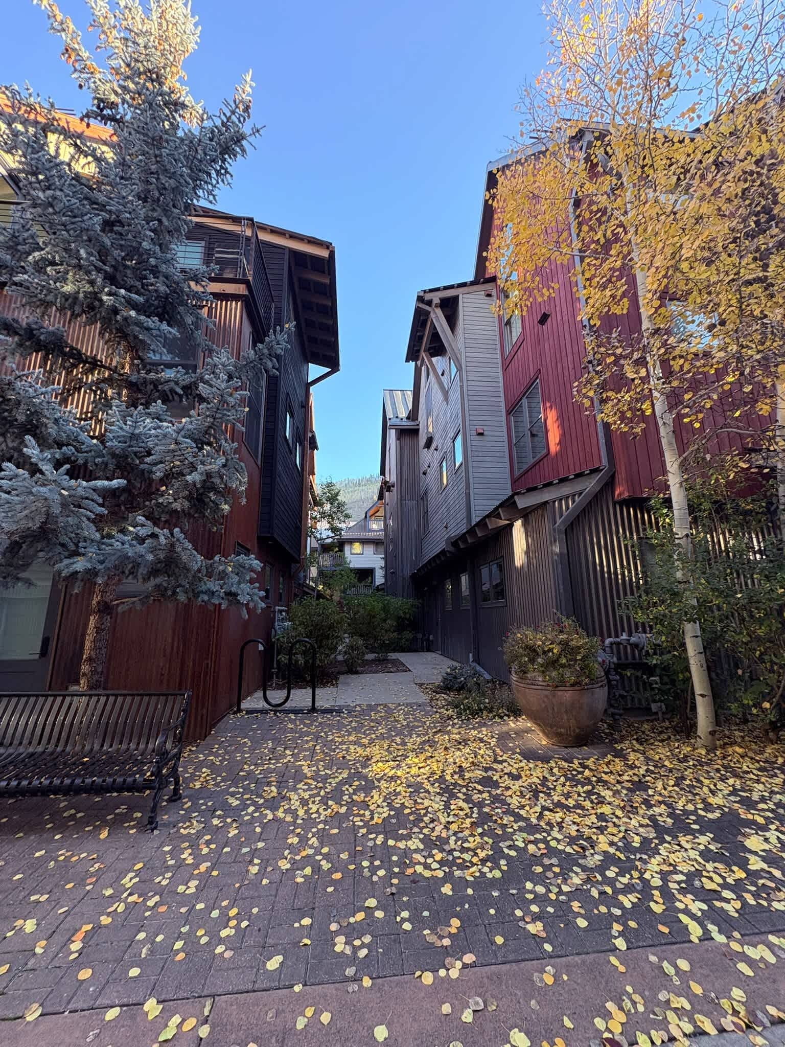 Una estrecha calle peatonal flanqueada por edificios, un banco y un sendero cubierto de hojas caídas.