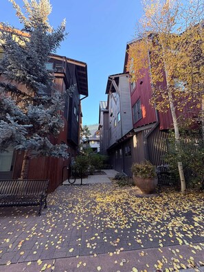 Una estrecha calle peatonal flanqueada por edificios, un banco y un sendero cubierto de hojas caídas.