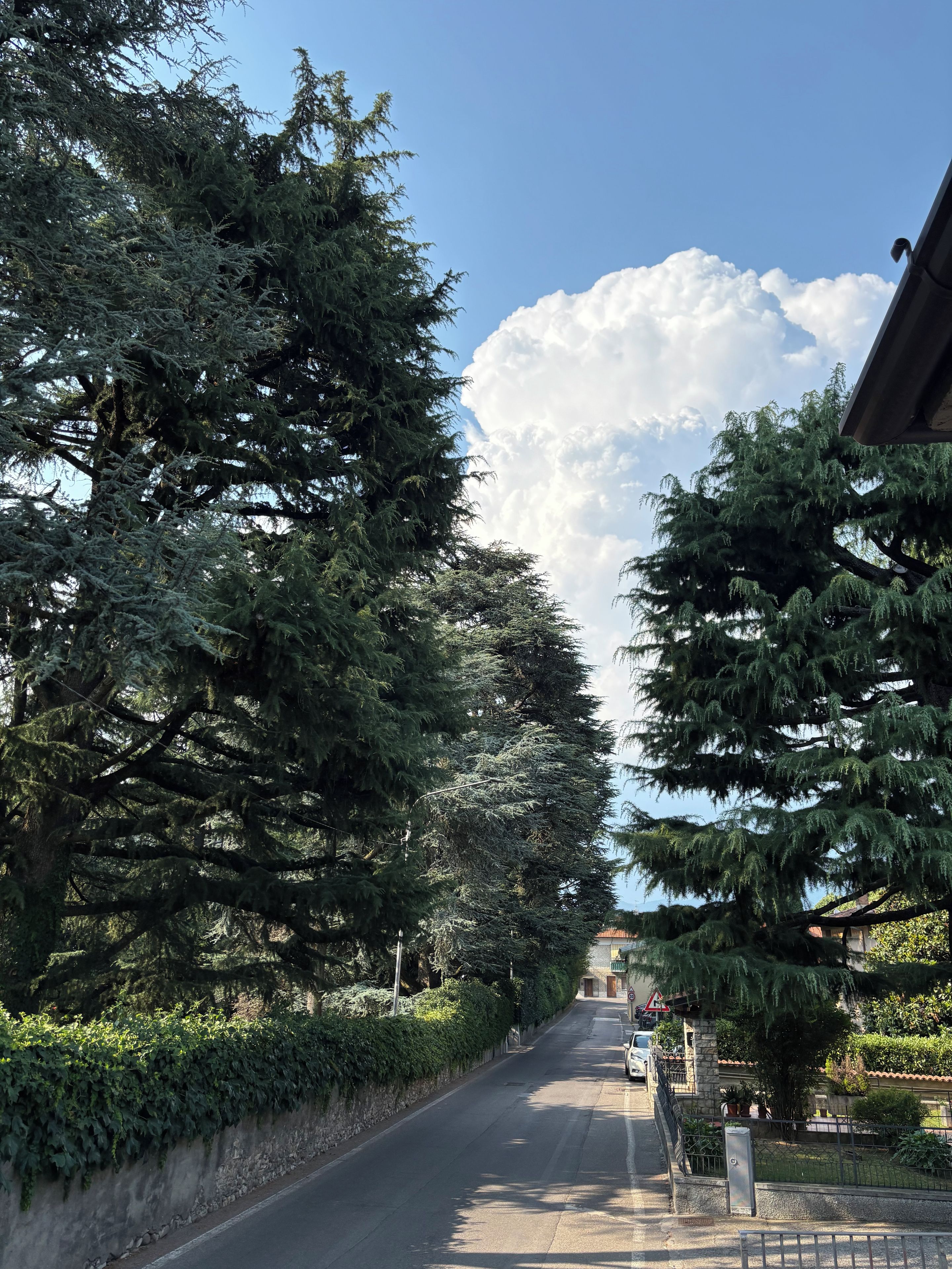 Eine von Bäumen gesäumte Straße mit blauem Himmel und einer großen Wolke.