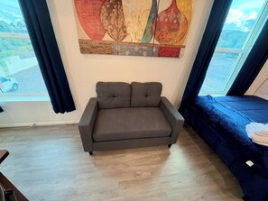 A room with a grey sofa, a blue bed, and a large window with curtains. - Historic Broad St Apt 3 in Upton’s Confectionery (Globe)