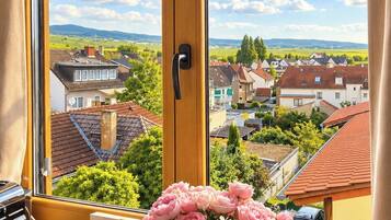 A window with a view of a residential area, a vase with flowers, and a door handle.