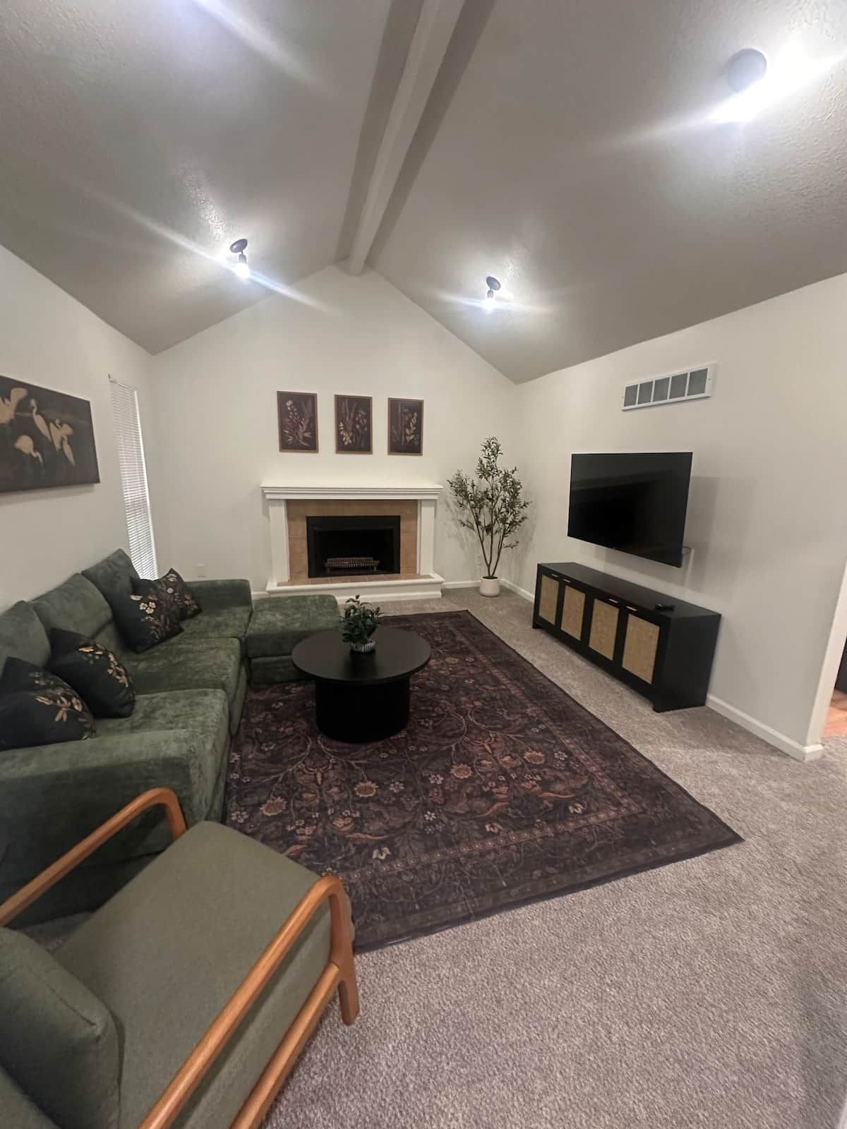 A living room with a sectional sofa, a fireplace, a television, and a decorative plant.