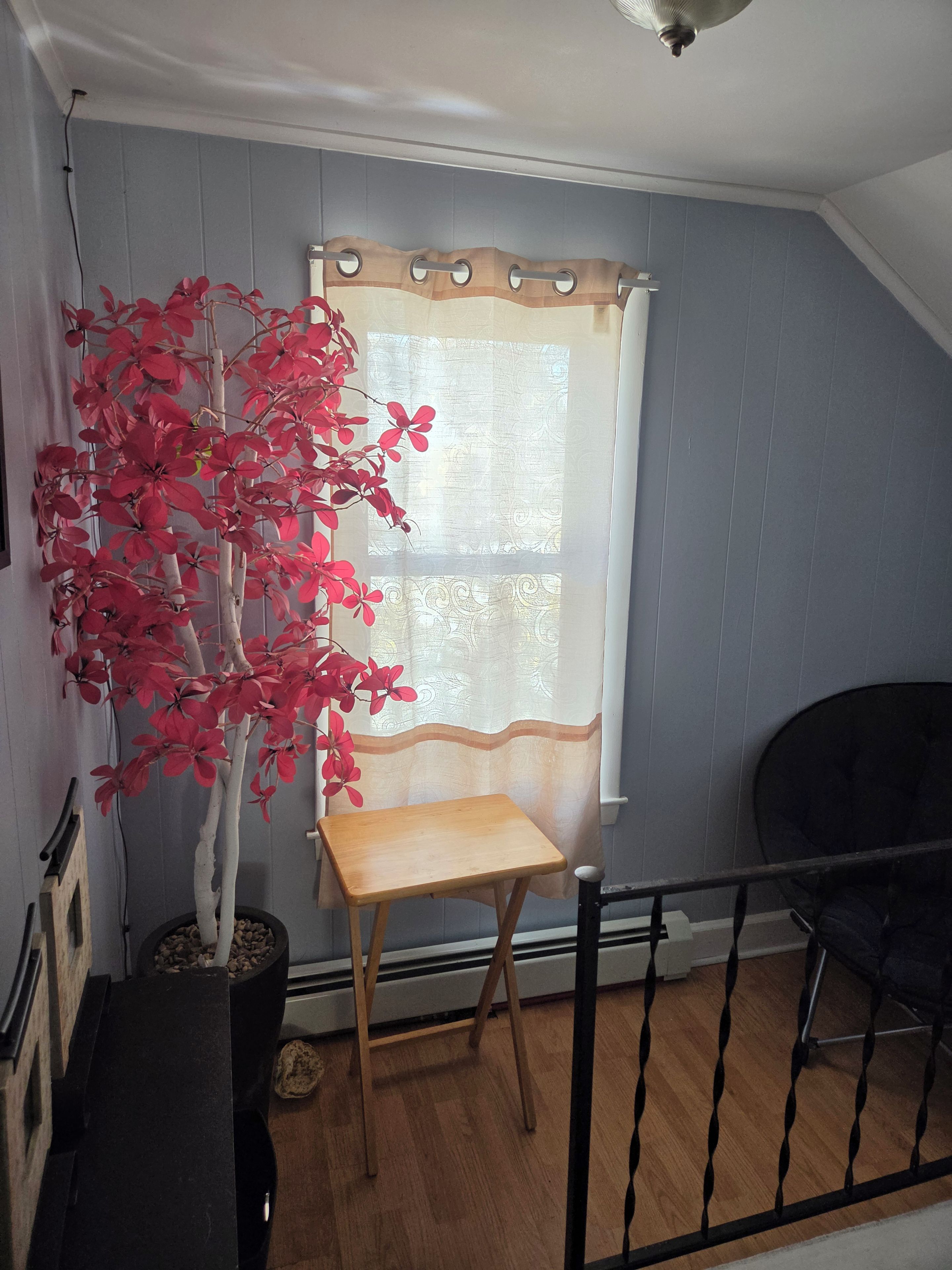 A room with a wooden floor, a black chair, a small wooden table, a potted plant, and a window with a curtain.