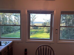 Quarto com três janelas dando para uma área gramada e árvores.