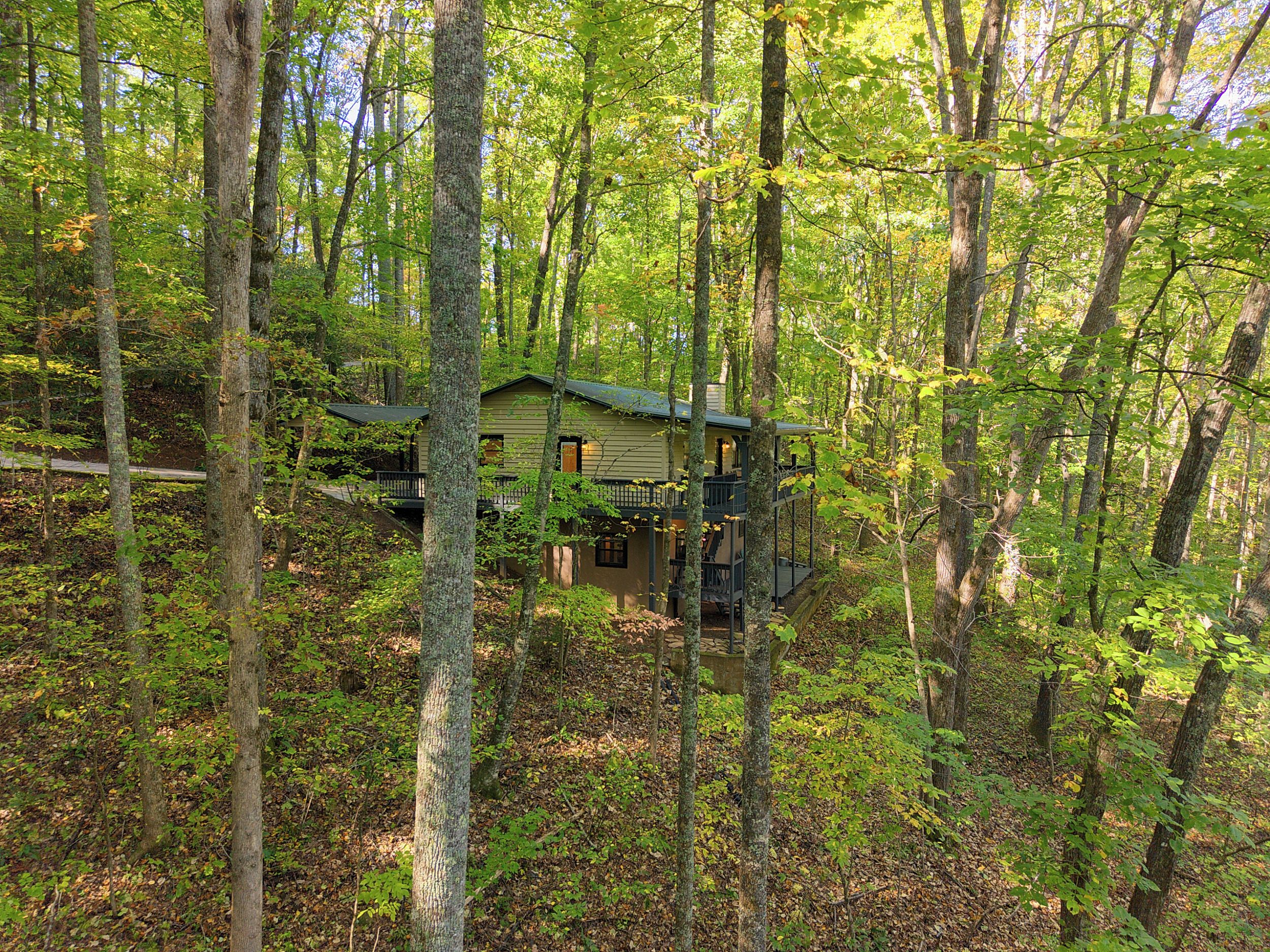 Eine Hütte, umgeben von dichtem Wald, mit einer sichtbaren Treppe, die zum Eingang führt.