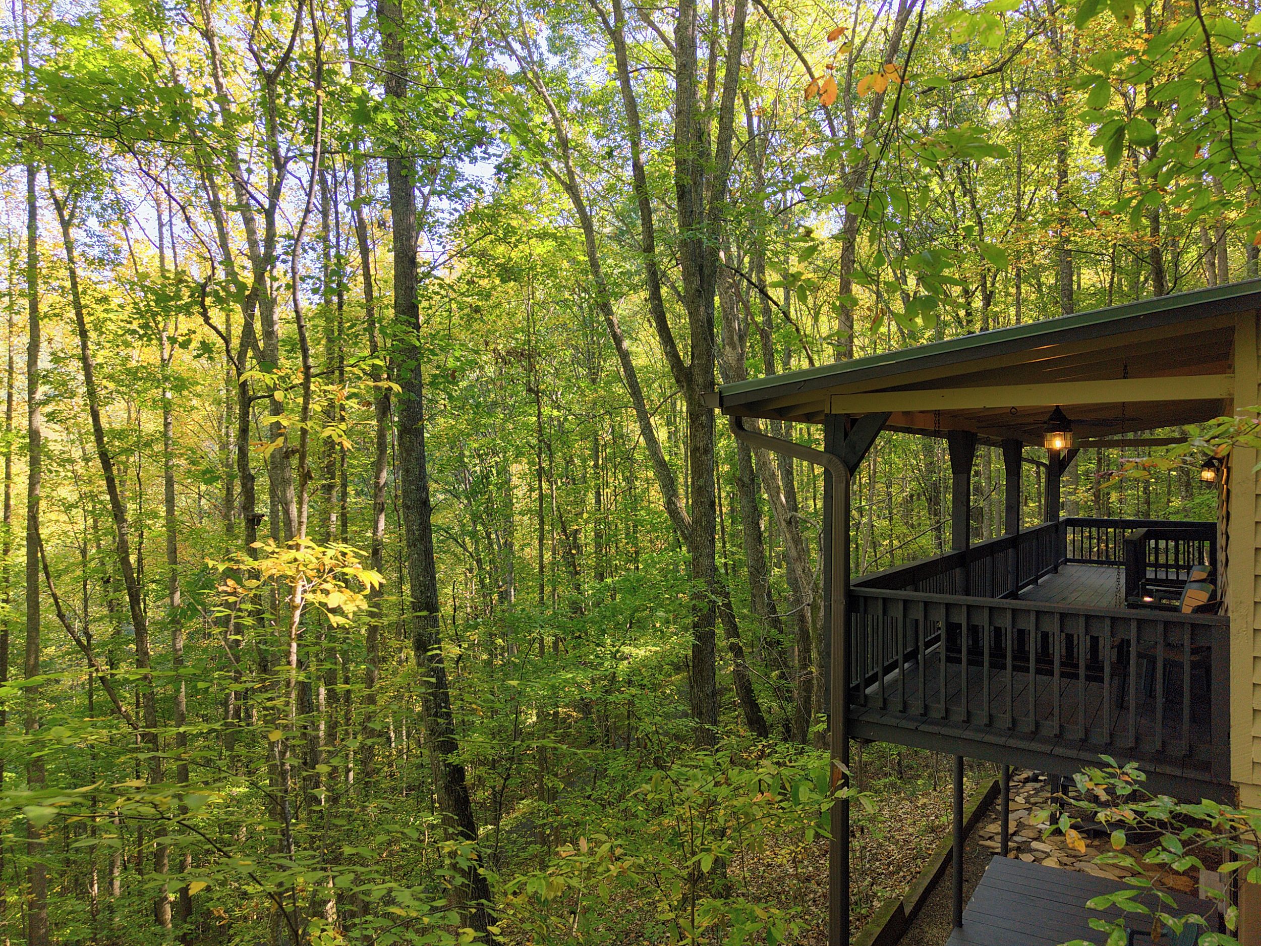 A wooden deck with a railing, surrounded by a forested area.