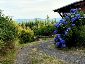 Un chemin de gravier mène à un bâtiment doté d’un porche abrité, entouré d’une végétation luxuriante et avec des montagnes en arrière-plan.