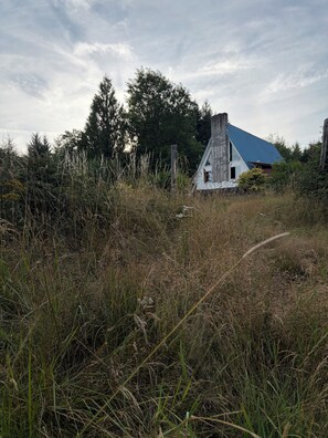 Valkoinen rakennus, jossa on sininen katto, ja sen ympärillä on korkeaa ruohoa ja puita.