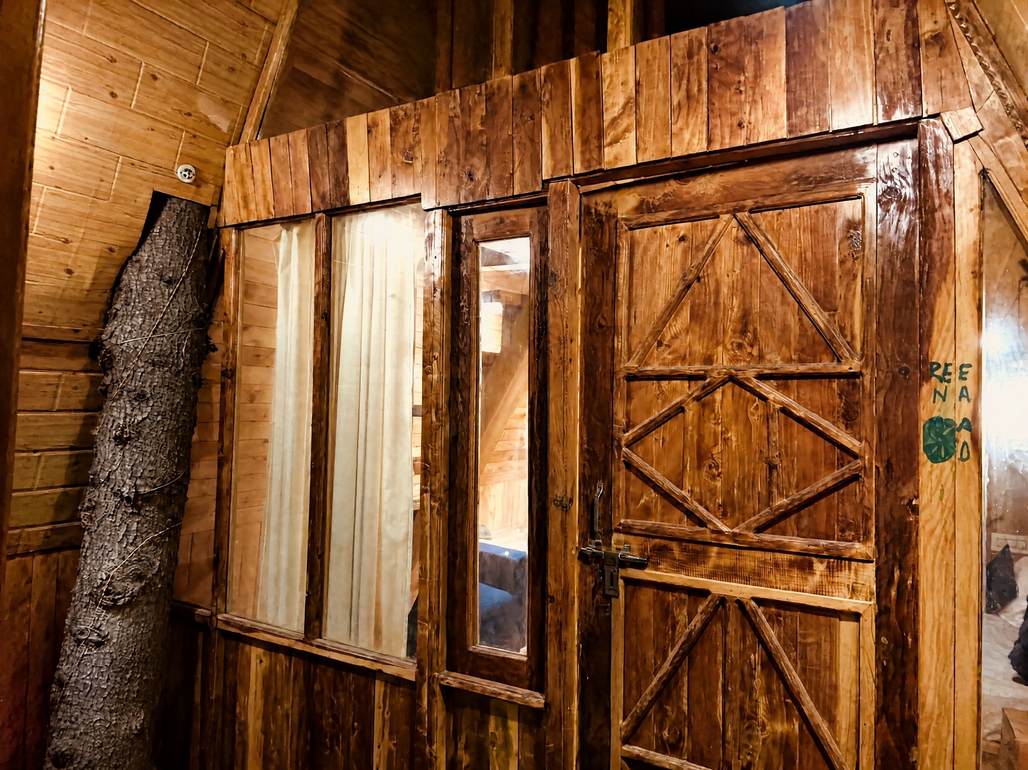 A wooden door with a geometric design, a tree trunk, and a window with vertical blinds.
