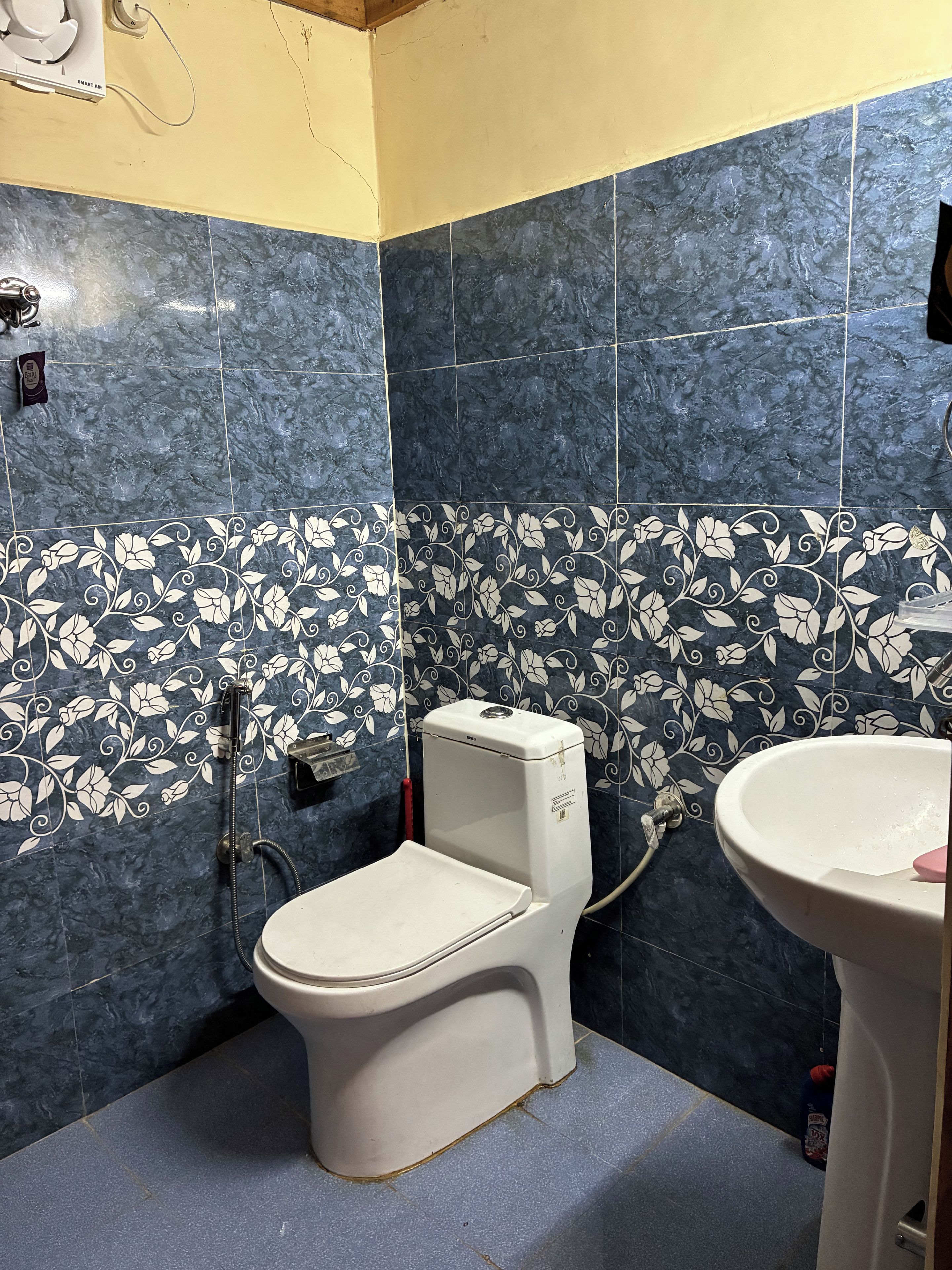 Une salle de bain équipée de toilettes, d’un bidet et d’un lavabo.
