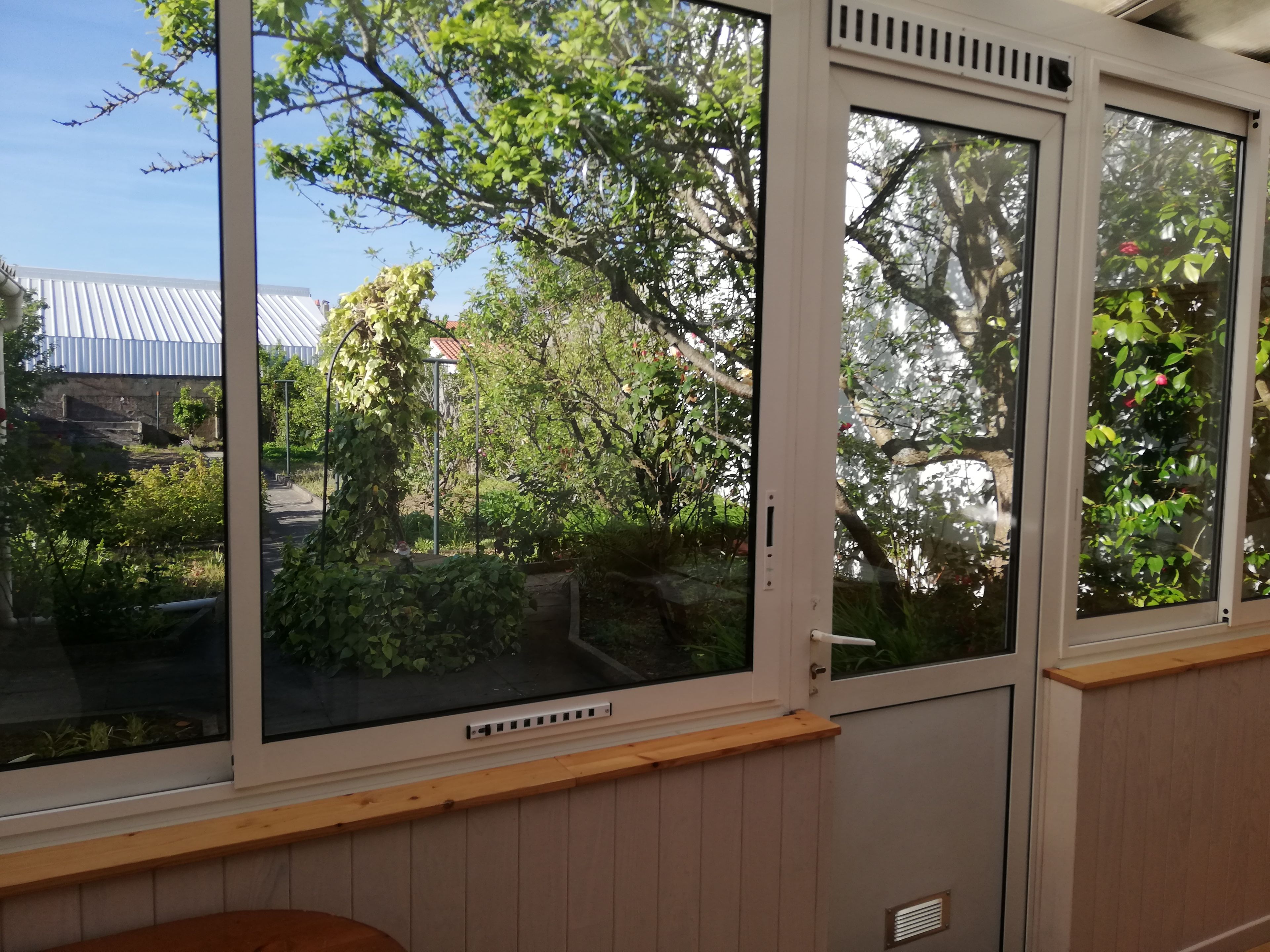 A room with large windows, a wooden bench, and a view of greenery and a building.