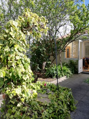 Un jardin où l’on trouve une variété de plantes et un arbre. Il y a aussi un bâtiment avec une porte en verre et une fenêtre.