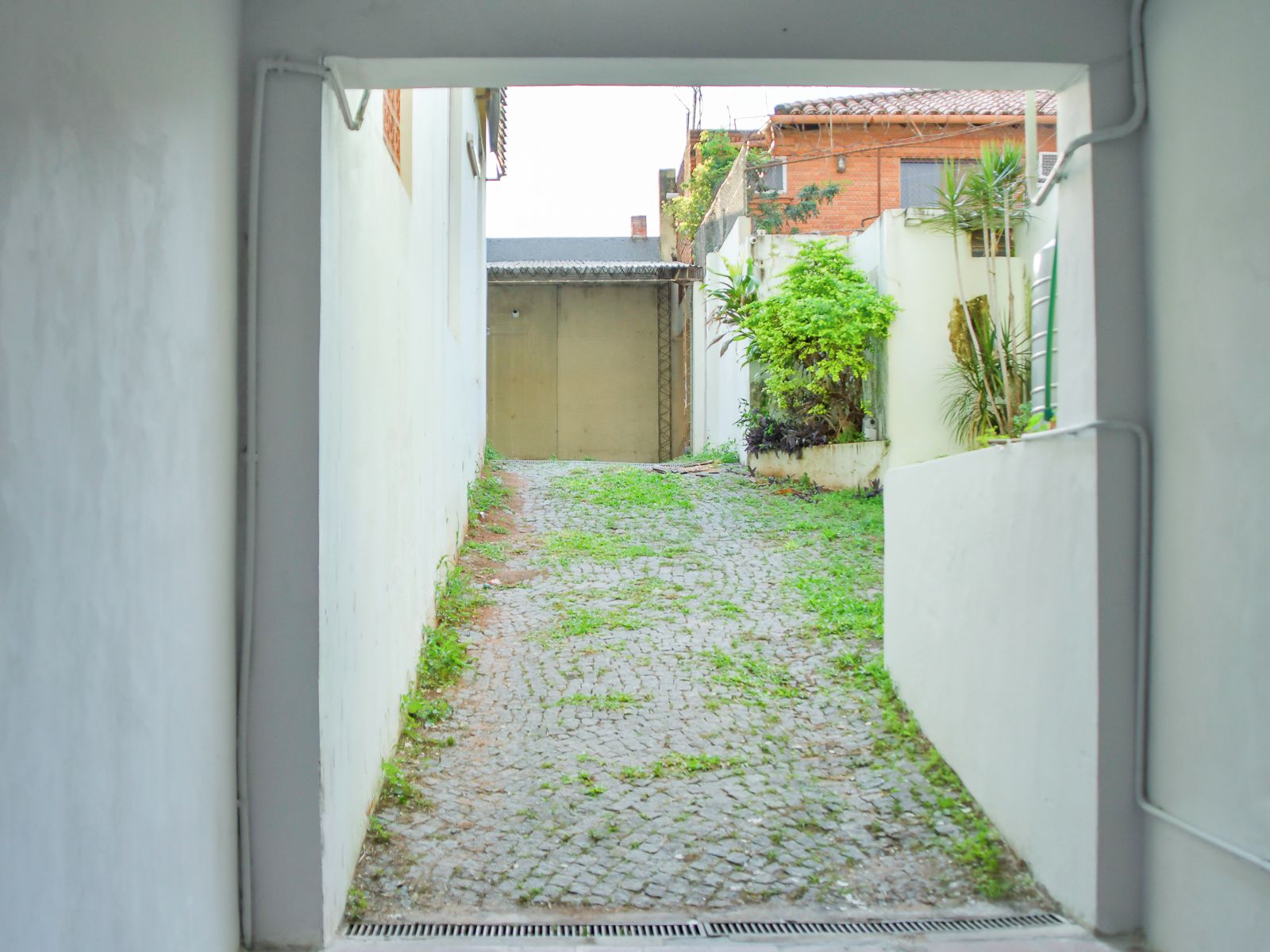 A narrow cobblestone alleyway with a metal grate at the end, flanked by white walls and a small patch of greenery.