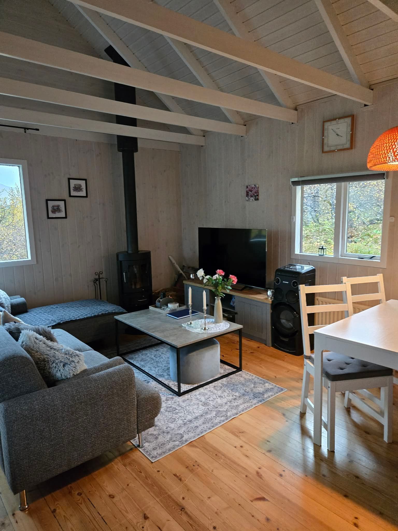 A cozy living room with a sofa, a coffee table, a TV, a fireplace, and a dining table with chairs.