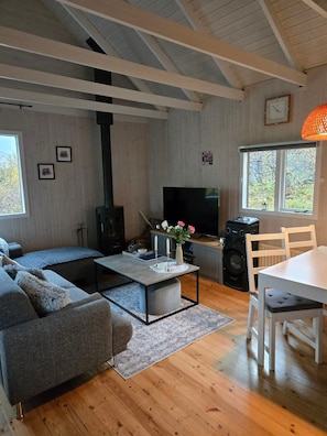 Una sala de estar acogedora con sofá, mesa de centro, televisión, chimenea y una mesa de comedor con sillas.