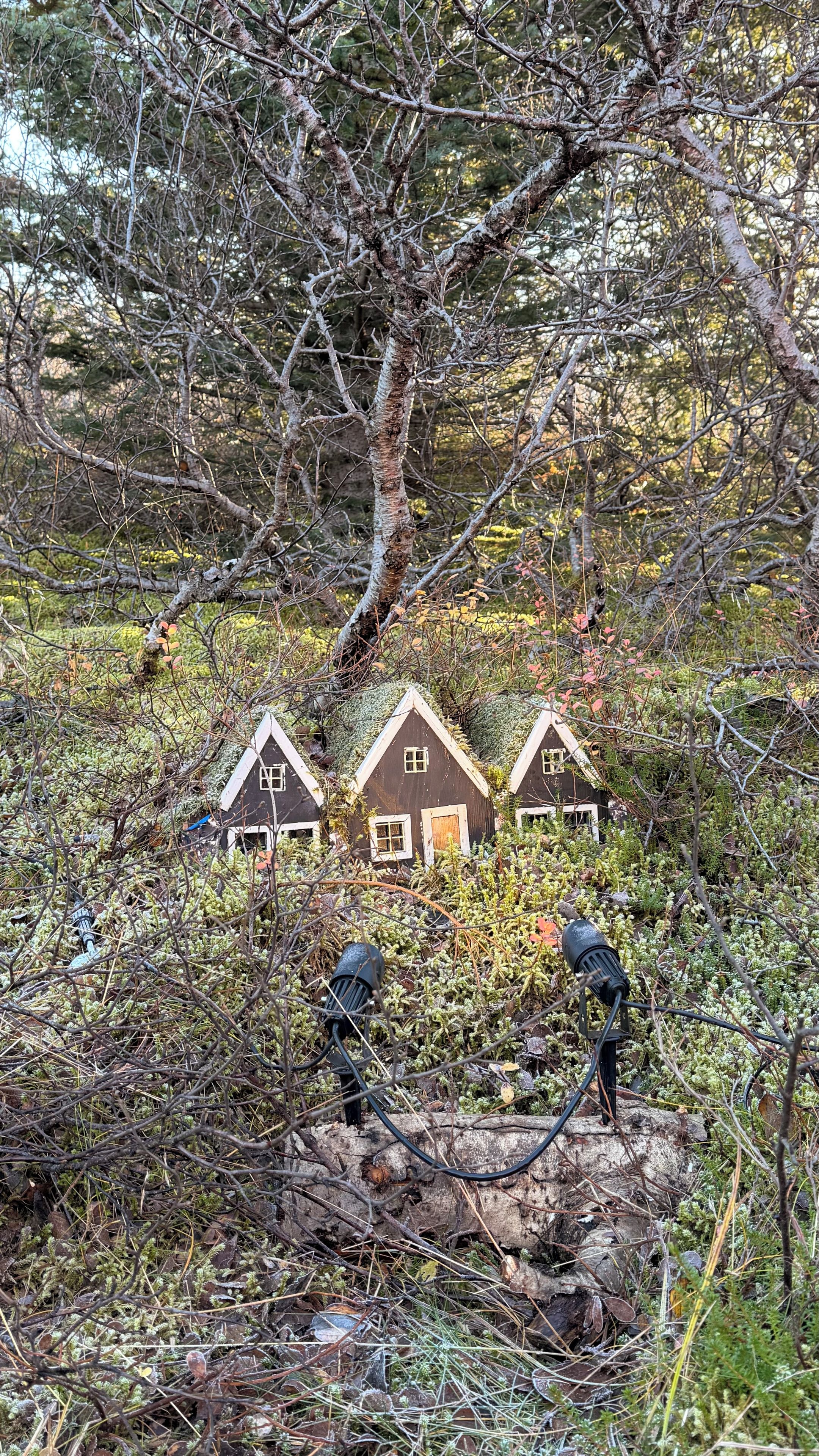 Three small cabins surrounded by dense foliage and a large tree.