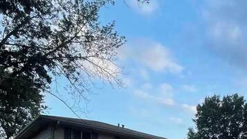 Een woonhuis met twee verdiepingen, een garage, een zwarte auto op de oprit en een boom op de voorgrond.