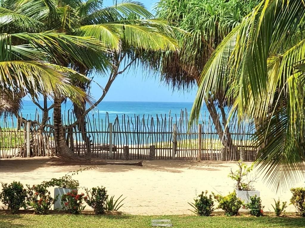A beach with palm trees, a sandy area, and a wooden fence.