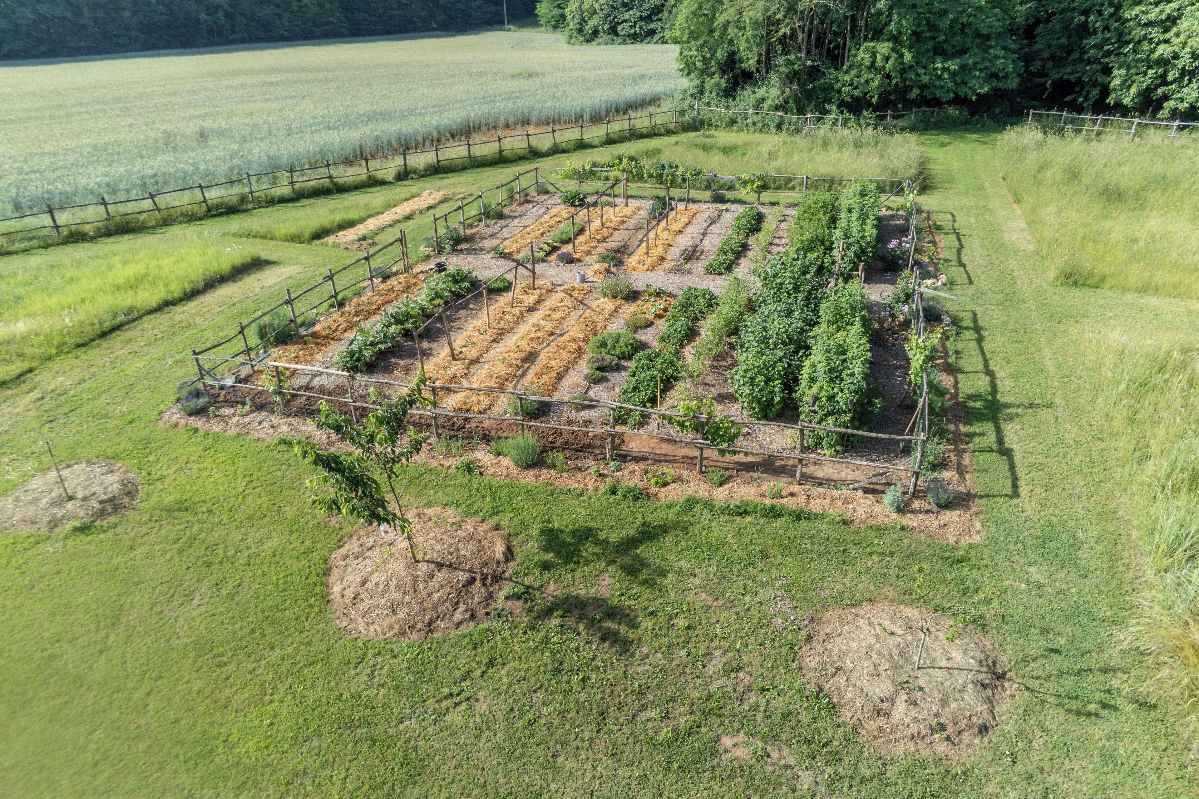 Un potager avec des plates-bandes surélevées et une zone délimitée par une clôture.
