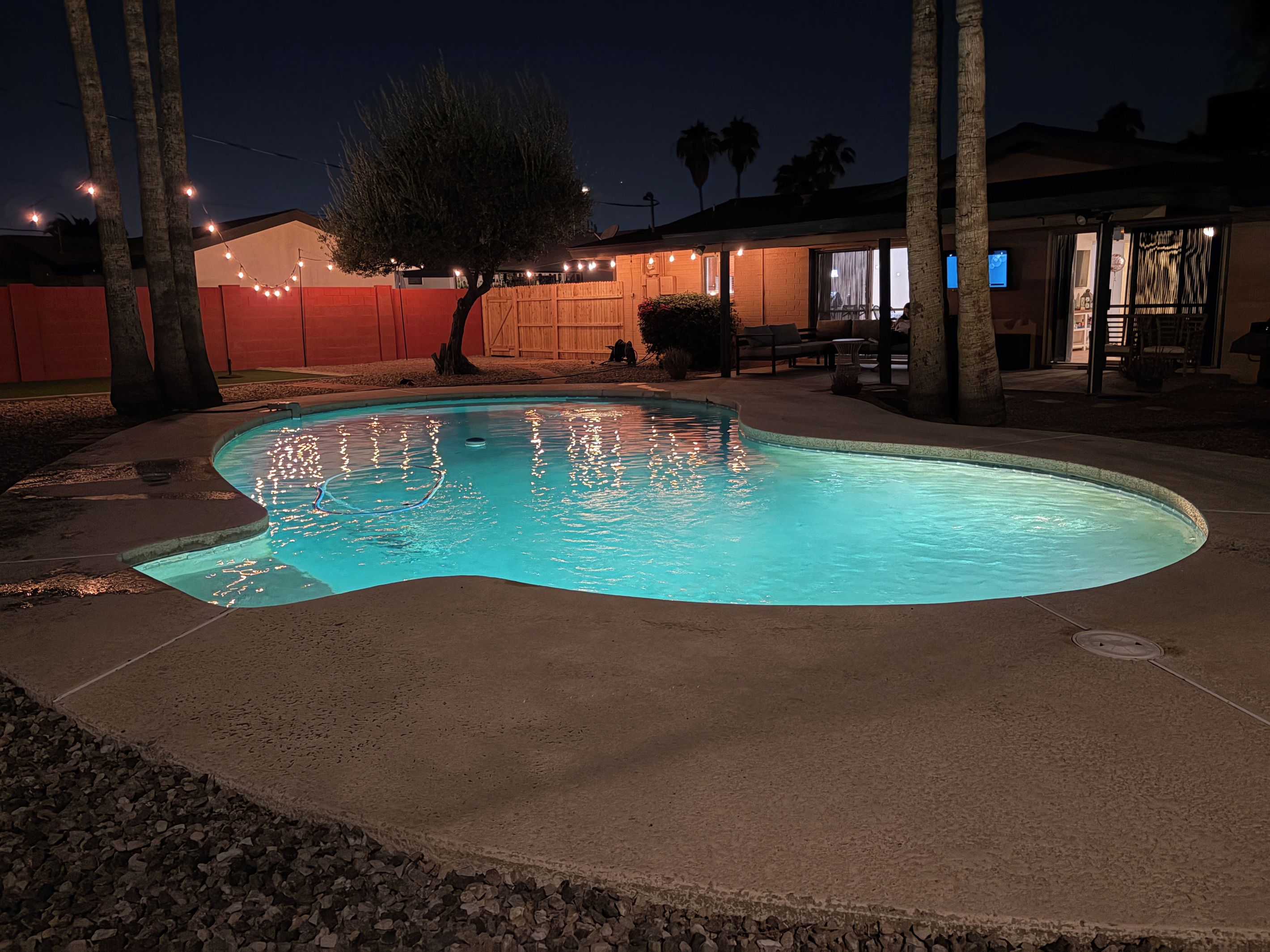 A swimming pool with a curved edge, surrounded by a concrete deck and a wooden fence.