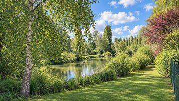 A serene park with a pond, lush greenery, and a clear sky.