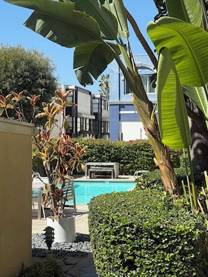 Un área de piscina moderna al aire libre con un edificio contemporáneo de fondo, rodeada de abundante follaje y un seto cuidado.