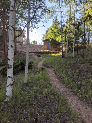 Une zone boisée avec un sentier de terre menant à une structure en bois.