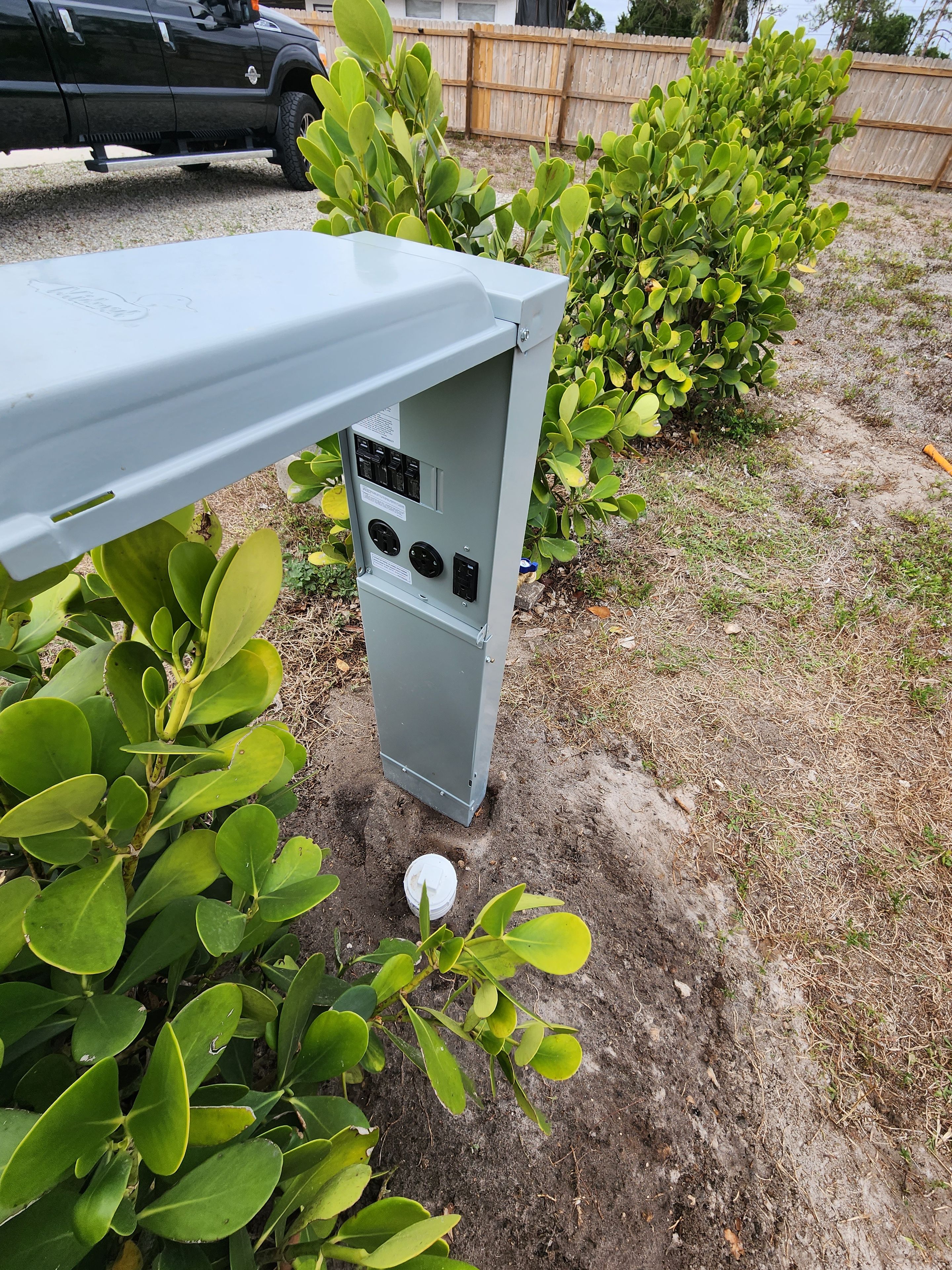 A utility box with electrical outlets and switches, surrounded by green foliage.