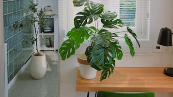 Moderni keittiö, jossa on puinen pöytä, vihreä tuoli ja ruukussa oleva monstera-kasvi.