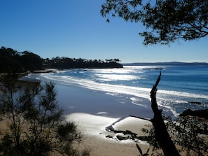 Une plage avec un ciel dégagé, une eau calme et un arbre au premier plan.