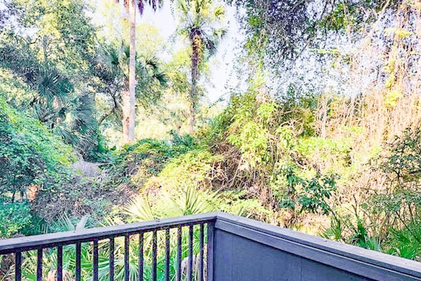 Une vue d’un jardin luxuriant, où l’on peut admirer une grande variété de plantes, notamment des palmiers et un feuillage dense.