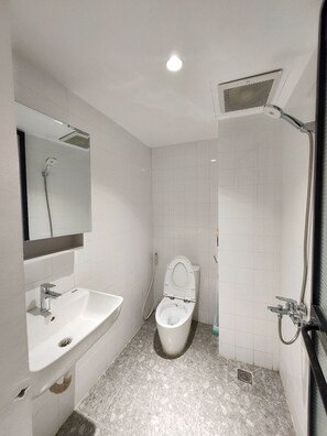 Une salle de bain avec un lavabo, des toilettes et une douche.