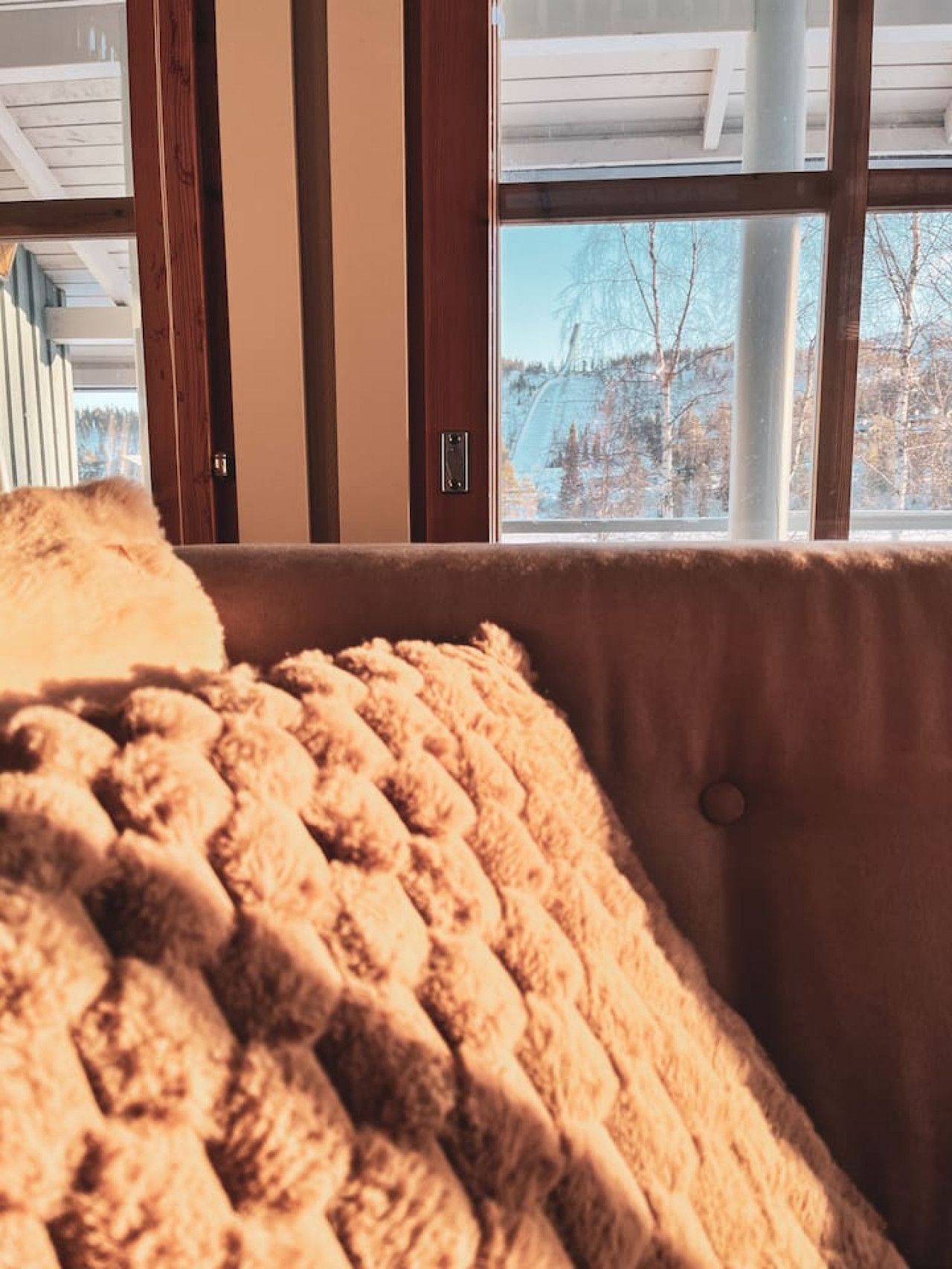 Ein Zimmer mit Fenster, Tür und Blick auf Bäume.