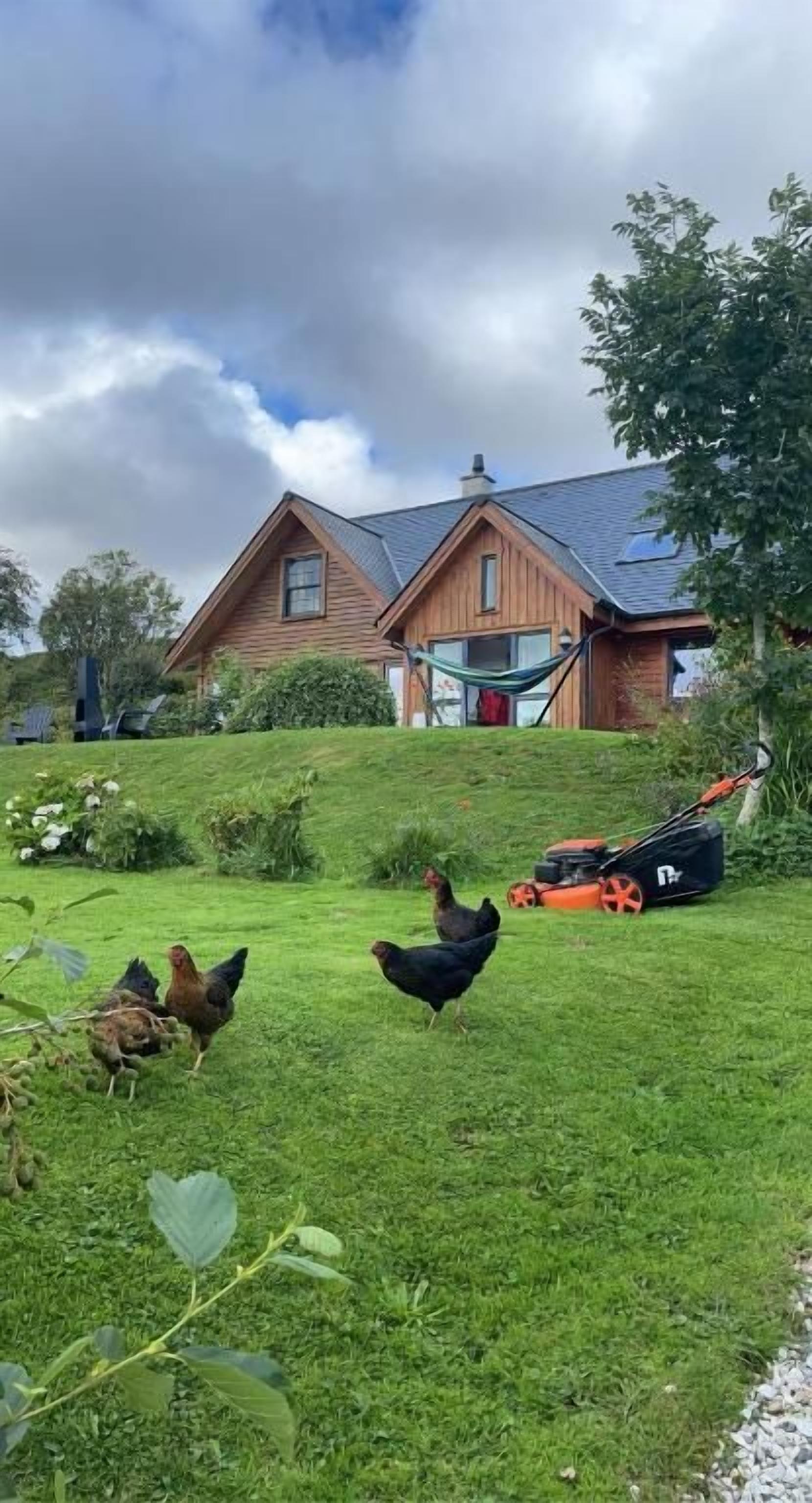 Una casa con techo inclinado, césped y gallinas.