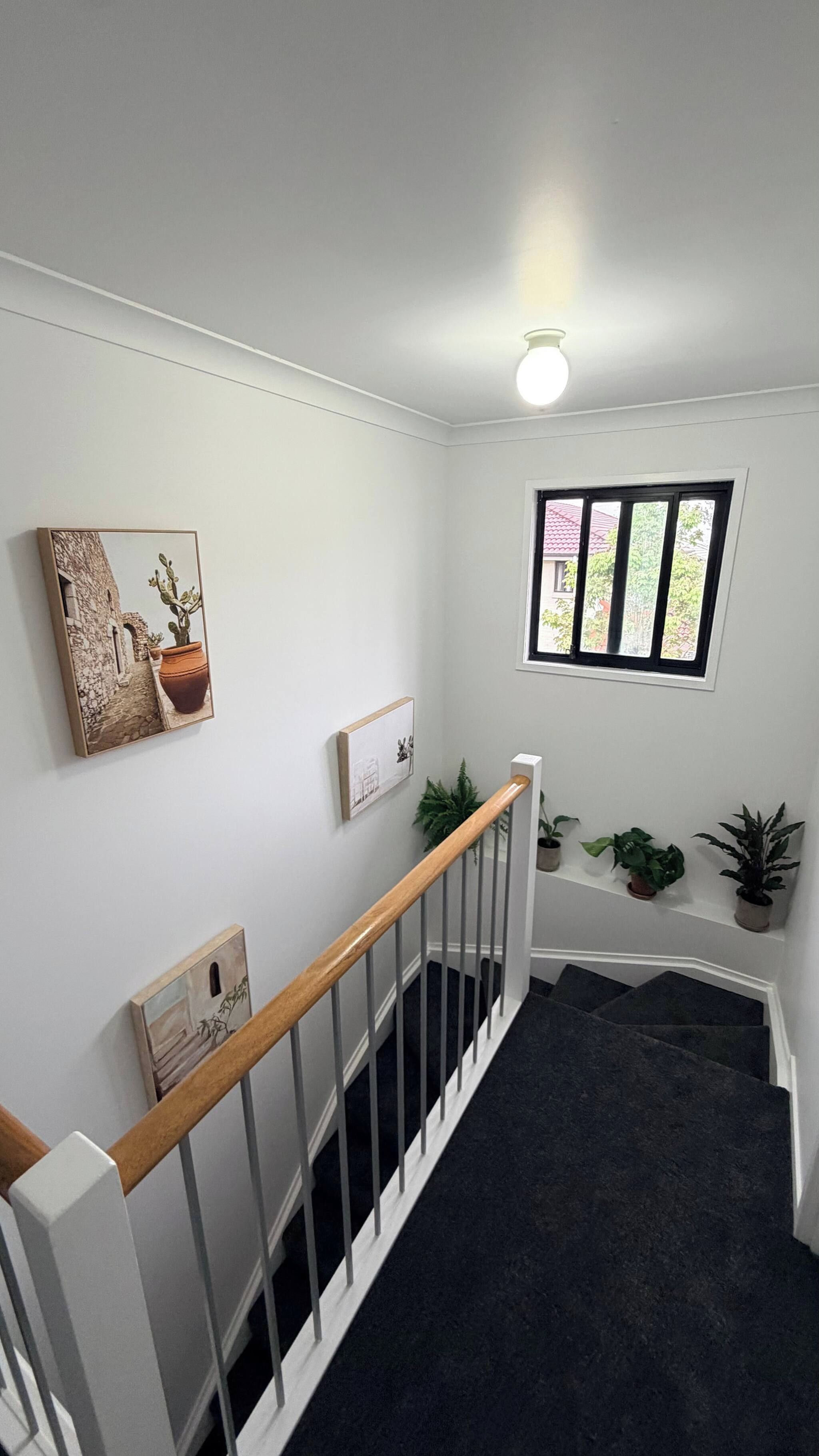 A staircase with a wooden handrail leading to a landing with a window and potted plants.