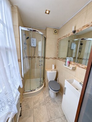 A bathroom with a glass-enclosed shower, a toilet, a sink, and a mirror.