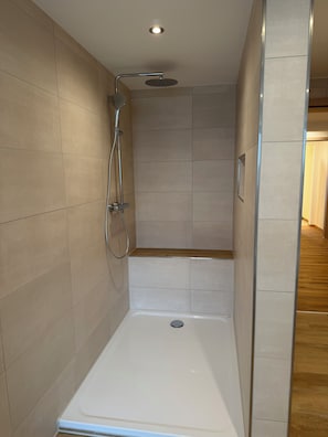 A modern shower enclosure with a handheld showerhead and a wall-mounted rain showerhead. - New Listing (Lonnerstadt)