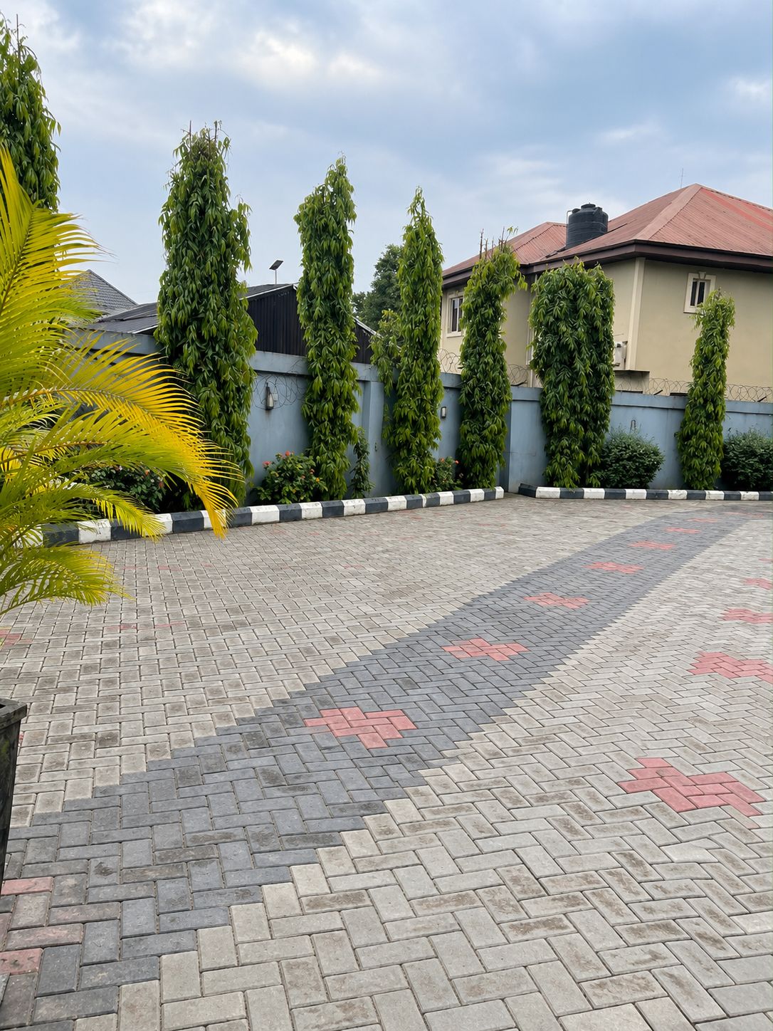 Un patio empedrado con suelo de baldosas decorativas, rodeado por un muro bajo con vegetación vertical y una palmera.